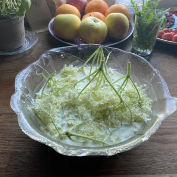 Holunderblüteneis – traumhaft