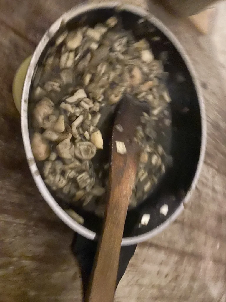 Pilzpfanne Wildkräuterseminar