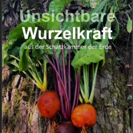Wurzeln, Wurzelkraft, Heilwirkung, rote Beete, Topinambur, Petersilienwurzel, Pastinake, Lichtwurzel, Meerrettich, Zwiebel, Knoblauch, Knollenziest, Nachtkerze, Löwenzahn, Brennnessel, Baldrian, Oca, Gartenwurzeln, einheimische Wurzeln