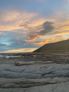 Neuseeland, Neuseeland, Seehunde in Neuseeland, Kaikoura, Natur, unberührte Natur