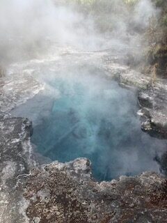 Neuseeland, Neuseeland, Seehunde in Neuseeland, Kaikoura, Natur, unberührte Natur, wilde Natur, Sonnenuntergang in Neuseeland, Taupo, Hot Pools, Rotorua, Maori