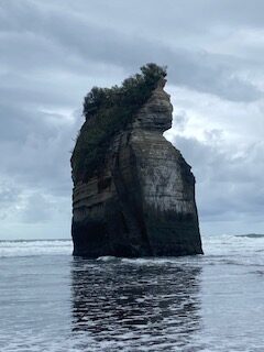 Neuseeland, Neuseeland, Seehunde in Neuseeland, Kaikoura, Natur, unberührte Natur, wilde Natur, Sonnenuntergang in Neuseeland, Taupo, Hot Pools, Rotorua, Maori, Three Sisters, Strand, Ebbe