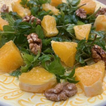 Bärenguter Frühlingssalat mit Giersch