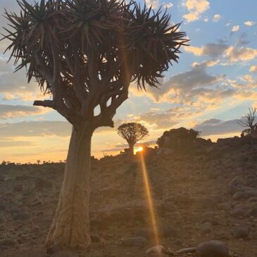 Eintauchen in die Weite Namibias