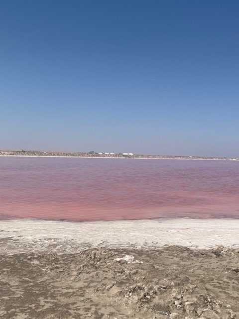 Namibia, Naturreise Namibia, Camping Namibia, Namibia mit Jeep, Namibia mit Dachzelt, Swakopmund, Alte Brücke Campsite, Strand, rosa Lake