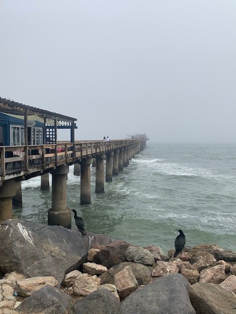 Namibia, Naturreise Namibia, Camping Namibia, Namibia mit Jeep, Namibia mit Dachzelt, Swakopmund, Alte Brücke Campsite