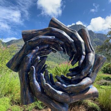 Naturreise-Blog: Bezaubernde ursprüngliche Natur rund um Kapstadt