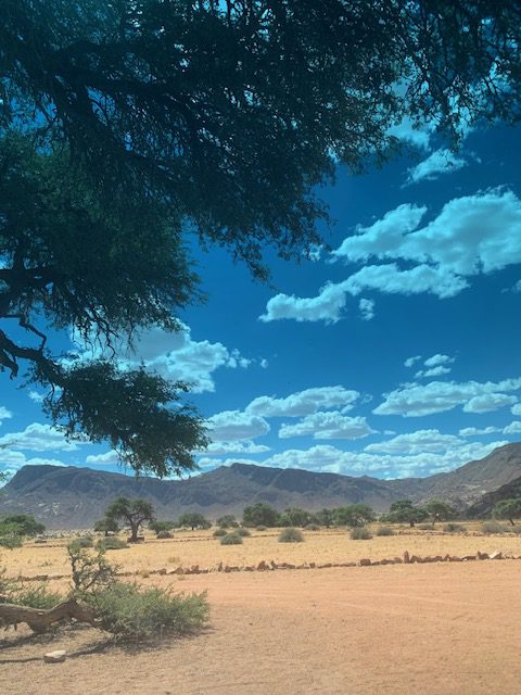 Namibia, Naturreise Namibia, Camping Namibia, Namibia mit Jeep, Namibia mit Dachzelt, Namib Desert Lodge, Wüste, Reiseblog, Namib, Affen