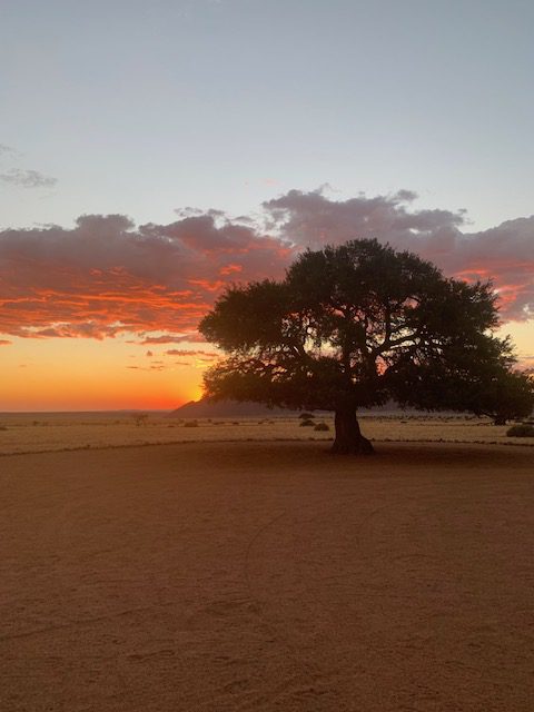 Namibia, Naturreise Namibia, Camping Namibia, Namibia mit Jeep, Namibia mit Dachzelt, Namib Desert Lodge, Wüste, Reiseblog