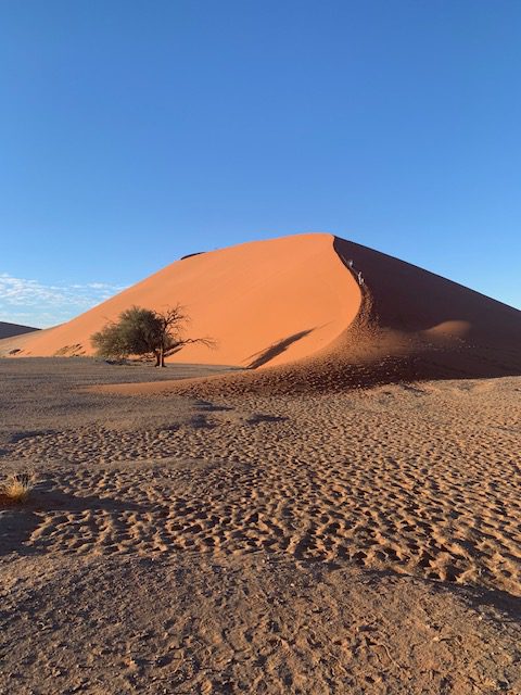 Namibia, Naturreise Namibia, Camping Namibia, Namibia mit Jeep, Namibia mit Dachzelt, Sossus Oasis Campsite