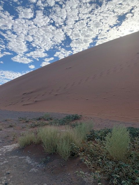 Namibia, Naturreise Namibia, Camping Namibia, Namibia mit Jeep, Namibia mit Dachzelt, Sossus Oasis Campsite, Sossusvlei, Wüste