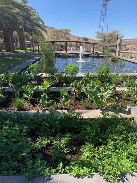 Namibia, Naturreise Namibia, Camping Namibia, Namibia mit Jeep, Namibia mit Dachzelt, Tsauchab River Camp, Pool