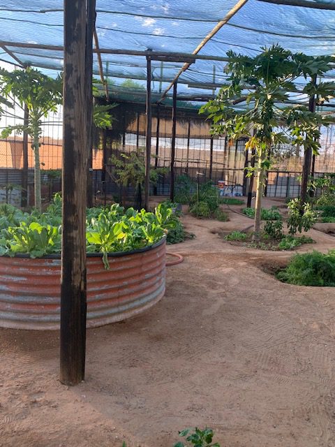 Namibia, Naturreise Namibia, Camping Namibia, Namibia mit Jeep, Namibia mit Dachzelt, Buchmanns Desert Camp