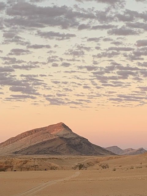 Namibia, Naturreise Namibia, Camping Namibia, Namibia mit Jeep, Namibia mit Dachzelt, Buchmanns Desert Camp, Wüste, Desert Garden