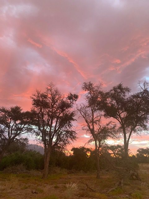 Namibia, Naturreise Namibia, Camping Namibia, Brandberg, Namibia mit Jeep, Namibia mit Dachzelt, White Lady Lodge,