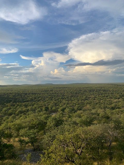 Namibia, Naturreise Namibia, Camping Namibia, Brandberg, Namibia mit Jeep, Namibia mit Dachzelt, Etosha Safari Camp,