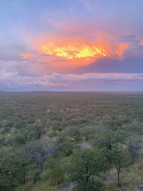 Namibia, Naturreise Namibia, Camping Namibia, Brandberg, Namibia mit Jeep, Namibia mit Dachzelt, Etosha Safari Camp, Zebras, Panorama