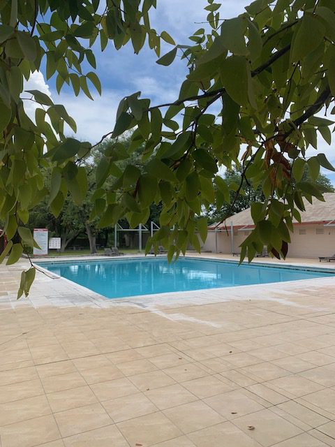 Namibia, Naturreise Namibia, Camping Namibia, Namibia mit Jeep, Namibia mit Dachzelt, Etosha Nationalpark Halali, Zebras, Panorama, Halali, Gnus, Wasserloch, Pool