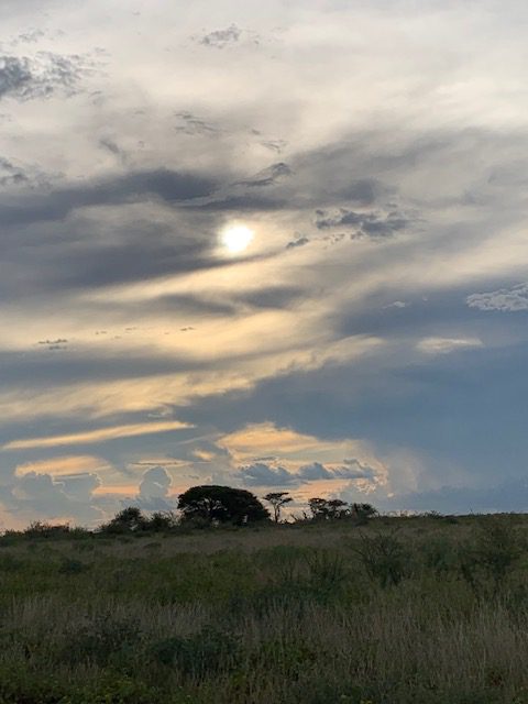 Namibia, Naturreise Namibia, Camping Namibia, Brandberg, Namibia mit Jeep, Namibia mit Dachzelt, Etosha Nationalpark Halali, Zebras, Panorama, Halali, Gnus, Wasserloch