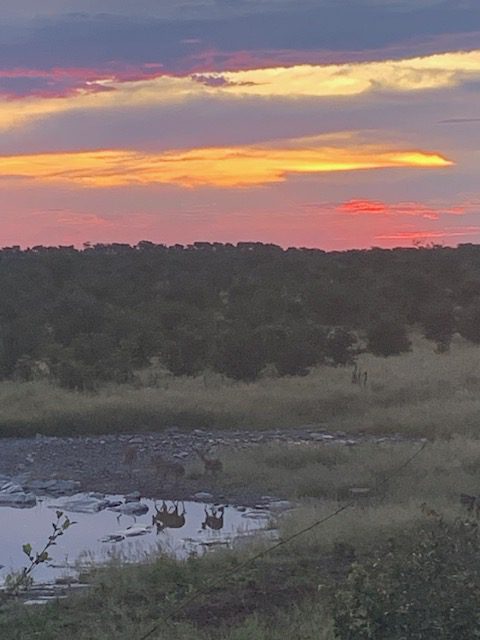 Namibia, Naturreise Namibia, Camping Namibia, Brandberg, Namibia mit Jeep, Namibia mit Dachzelt, Etosha Nationalpark Halali, Zebras, Panorama, Halali, Gnus