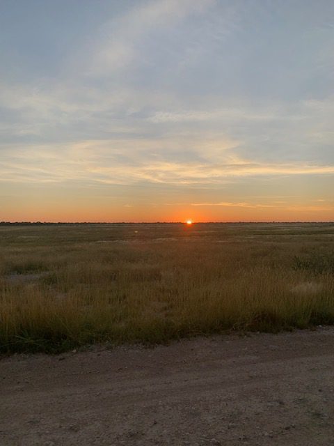 Namibia, Naturreise Namibia, Camping Namibia, Brandberg, Namibia mit Jeep, Namibia mit Dachzelt, Etosha Nationalpark Namutoni, Zebras, Panorama, Namutoni, Gnus