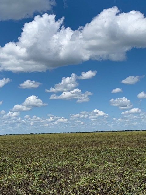 Namibia, Naturreise Namibia, Camping Namibia, Brandberg, Namibia mit Jeep, Namibia mit Dachzelt, Etosha Nationalpark Namutoni, Zebras, Panorama, Namutoni,