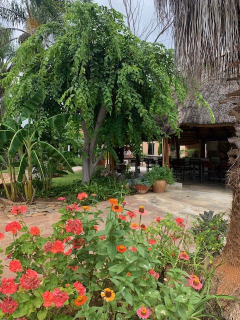 Namibia, Naturreise Namibia, Camping Namibia, Gabus Safari Lodge, Namibia mit Jeep, Namibia mit Dachzelt, Panorama Namibia, Strauß, GIraffen