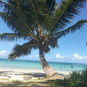 Naturreise-Blog: Auf den Naturpfaden von Mauritius