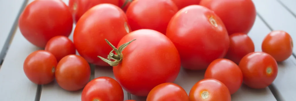 samenfeste Tomaten